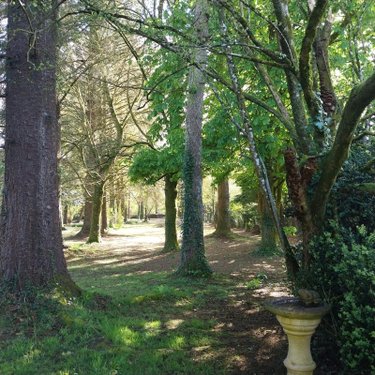 propriete a vendre Rostrenen 22110 Côtes-d'Armor 170 m2 9 pièces 293180 euros