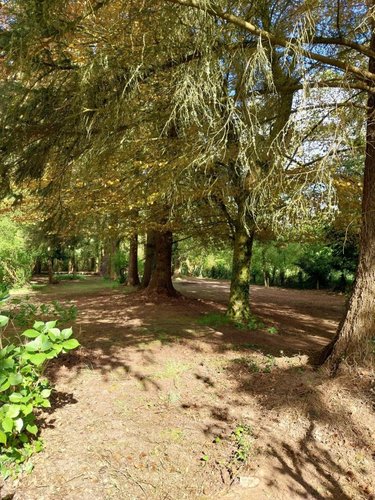 propriete a vendre Rostrenen 22110 Côtes-d'Armor 170 m2 9 pièces 293180 euros