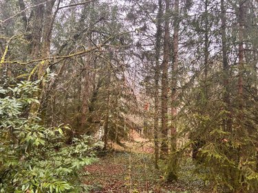 Terrains de loisirs bois etangs a vendre Villedieu 21330 Côte-d'Or 1266 m2  16200 euros