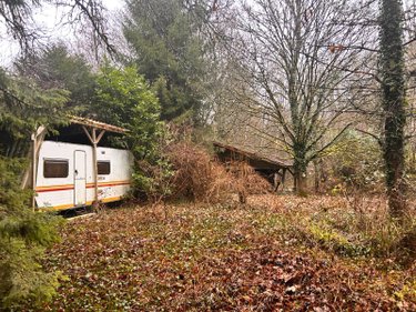 Terrains de loisirs bois etangs a vendre Villedieu 21330 Côte-d'Or 1266 m2  16200 euros