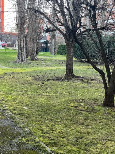 Appartement a vendre Saint-André-les-Vergers 10120 Aube 78 m2 4 pièces 100000 euros