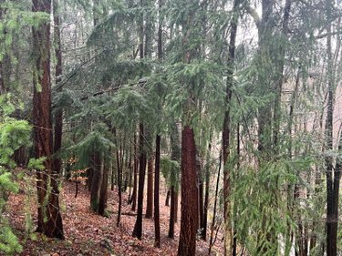 Maison a vendre Beaumontel 27170 Eure 78 m2 4 pièces 174075 euros