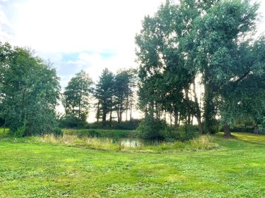 Maison a vendre Hazebrouck 59190 Nord 255 m2 9 pièces 547000 euros