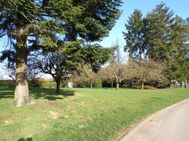 Terrain a batir a vendre Thelonne 08350 Ardennes 2000 m2  84700 euros