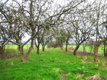 Maison a vendre Brunelles 28400 Eure-et-Loir 86 m2 3 pièces 63600 euros