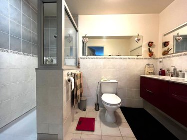 Viager maison Langres 52200 Haute-Marne 145 m2 5 pièces 125000 euros