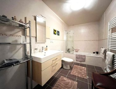 Viager maison Langres 52200 Haute-Marne 145 m2 5 pièces 125000 euros