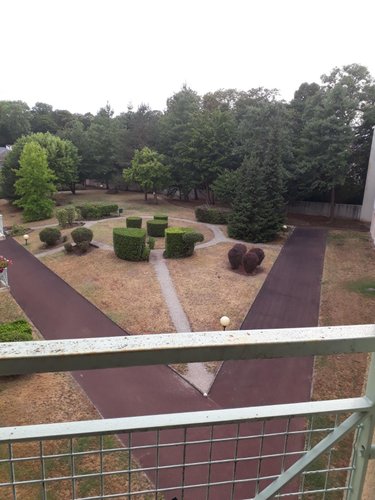 Location appartement Orléans 45000 Loiret 33 m2 1 pièce 485 euros