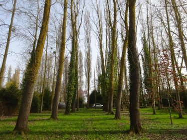 Terrains de loisirs bois etangs a vendre Nogent-le-Rotrou 28400 Eure-et-Loir 2796 m2  26500 euros