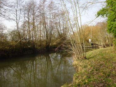 Terrains de loisirs bois etangs a vendre Nogent-le-Rotrou 28400 Eure-et-Loir 2796 m2  26500 euros