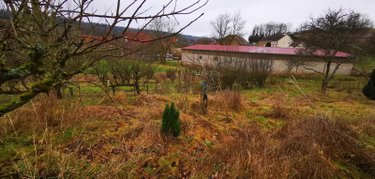 Maison a vendre Charmes 52360 Haute-Marne 50 m2 2 pièces 59800 euros