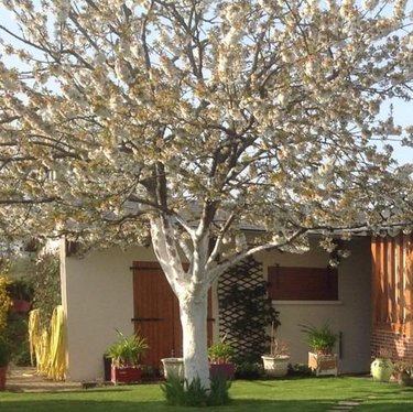 Maison a vendre Plainville 27300 Eure 70 m2 5 pièces 249900 euros