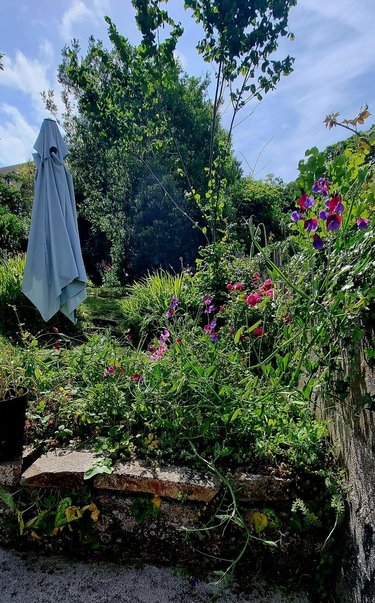 Maison a vendre Moncontour 22510 Côtes-d'Armor 71 m2 3 pièces 174075 euros