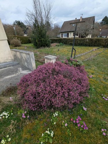 Maison a vendre Pouru-Saint-Remy 08140 Ardennes 50 m2 3 pièces 84500 euros