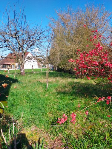 Maison a vendre Cosne-Cours-sur-Loire 58200 Nièvre 101 m2 4 pièces 111300 euros