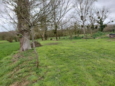 Terrain a batir a vendre Plénée-Jugon 22640 Côtes-d'Armor 750 m2  37875 euros