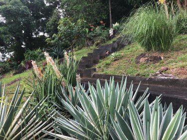 Maison a vendre Cayenne 97300 Guyane 154 m2 4 pièces 517500 euros