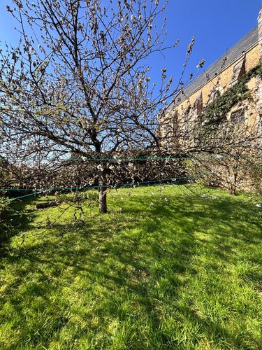 Maison a vendre Yvré-l'Évêque 72530 Sarthe 129 m2  188500 euros