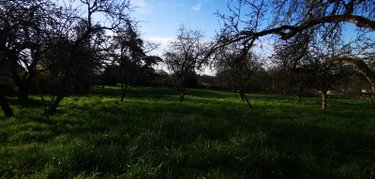 Maison a vendre Noidant-Chatenoy 52600 Haute-Marne 81 m2 5 pièces 116600 euros