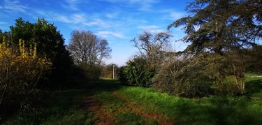 Maison a vendre Noidant-Chatenoy 52600 Haute-Marne 81 m2 5 pièces 116600 euros