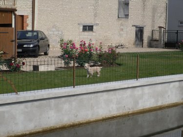 Maison a vendre Laferté-sur-Aube 52120 Haute-Marne 69 m2 4 pièces 43200 euros