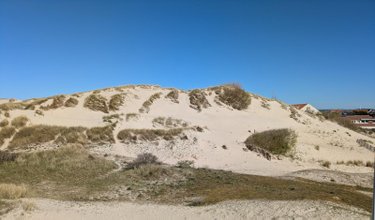 Appartement a vendre Berck 62600 Pas-de-Calais 33 m2  149000 euros