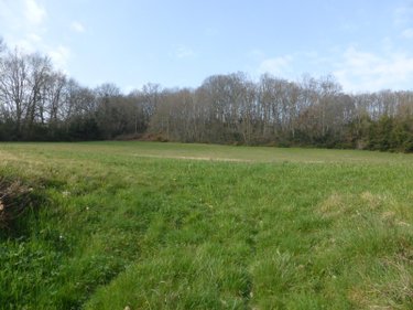Terrain a batir a vendre Monléon-Magnoac 65670 Hautes-Pyrénées 12365 m2  34980 euros