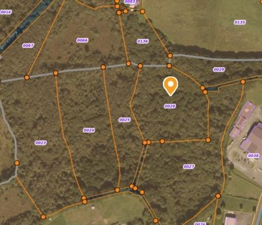 Terrains de loisirs bois etangs a vendre Guiscriff 56560 Morbihan 14400 m2  4200 euros