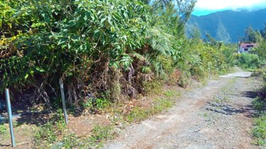 Terrain a batir a vendre La Plaine-des-Palmistes 97431 Réunion 500 m2  55000 euros