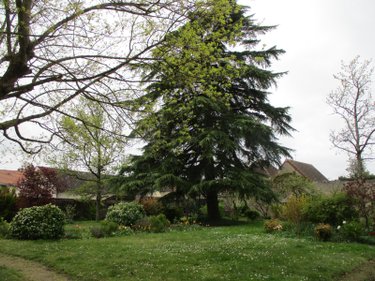Maison a vendre Chabris 36210 Indre 205 m2 8 pièces 253300 euros