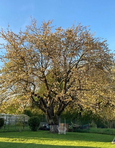 Maison a vendre Péronne 80200 Somme 123 m2 5 pièces 262500 euros