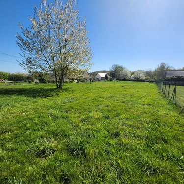 Terrain a batir a vendre Mesnil-Roc'h 35720 Ille-et-Vilaine 1120 m2  95520 euros