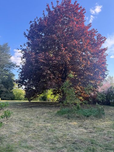 propriete a vendre Béthisy-Saint-Pierre 60320 Oise 240 m2 8 pièces 325000 euros