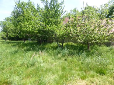 propriete a vendre Thermes-Magnoac 65230 Hautes-Pyrénées 280 m2 8 pièces 395380 euros