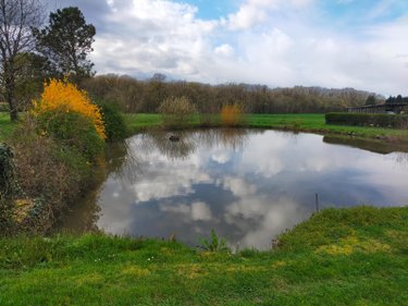 Maison a vendre Villeneuve-les-Genêts 89350 Yonne 92 m2 5 pièces 94680 euros