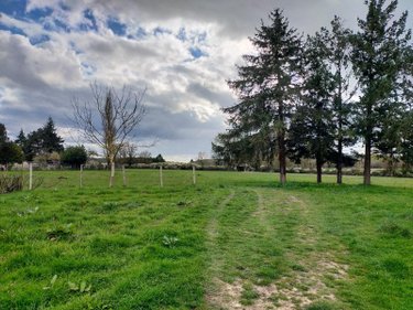 Maison a vendre Villeneuve-les-Genêts 89350 Yonne 92 m2 5 pièces 94680 euros