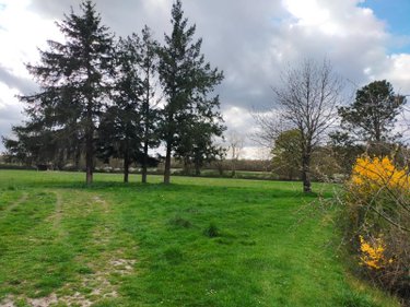 Maison a vendre Villeneuve-les-Genêts 89350 Yonne 92 m2 5 pièces 94680 euros