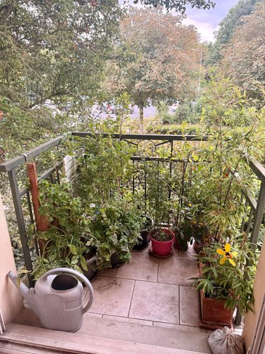 Appartement a vendre Moissy-Cramayel 77550 Seine-et-Marne 48 m2 2 pièces 139950 euros