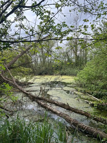 propriete a vendre Péronne 80200 Somme 250 m2 8 pièces 416000 euros