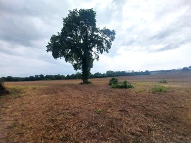 Maison a vendre La Bigottière 53240 Mayenne 200 m2  57310 euros