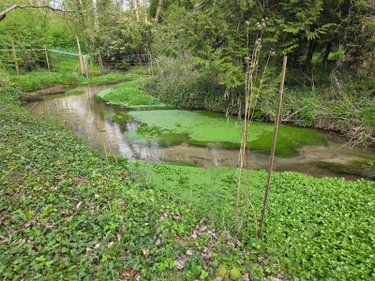 Maison a vendre Abbéville-la-Rivière 91150 Essonne 213 m2 8 pièces