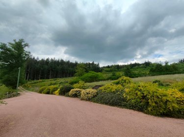 propriete a vendre Beaubery 71220 Saône-et-Loire 255 m2  445000 euros