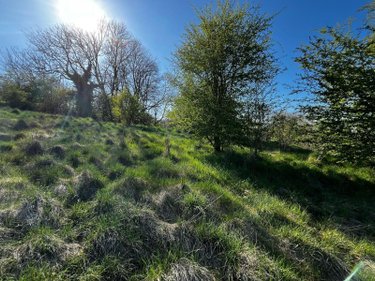 Terrain a batir a vendre Langres 52200 Haute-Marne 11235 m2  80000 euros