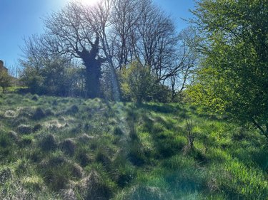 Terrain a batir a vendre Langres 52200 Haute-Marne 11235 m2  80000 euros