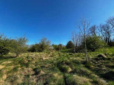 Terrain a batir a vendre Langres 52200 Haute-Marne 11235 m2  80000 euros