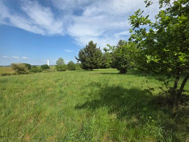 propriete a vendre Neuillé-le-Lierre 37380 Indre-et-Loire 209 m2 11 pièces 322400 euros