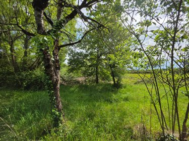 propriete a vendre Neuillé-le-Lierre 37380 Indre-et-Loire 209 m2 11 pièces 322400 euros
