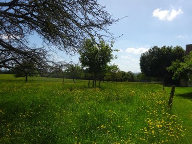 Maison a vendre Saint-Hilaire-sur-Erre 61340 Orne 67 m2 4 pièces 116600 euros