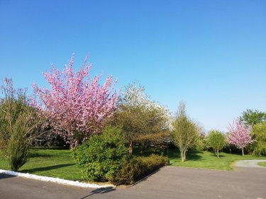 Maison a vendre Tertry 80200 Somme 280 m2 7 pièces 514800 euros