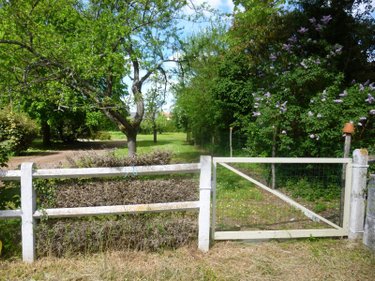 Terrain a batir a vendre Saint-Père 58200 Nièvre 1859 m2  21200 euros